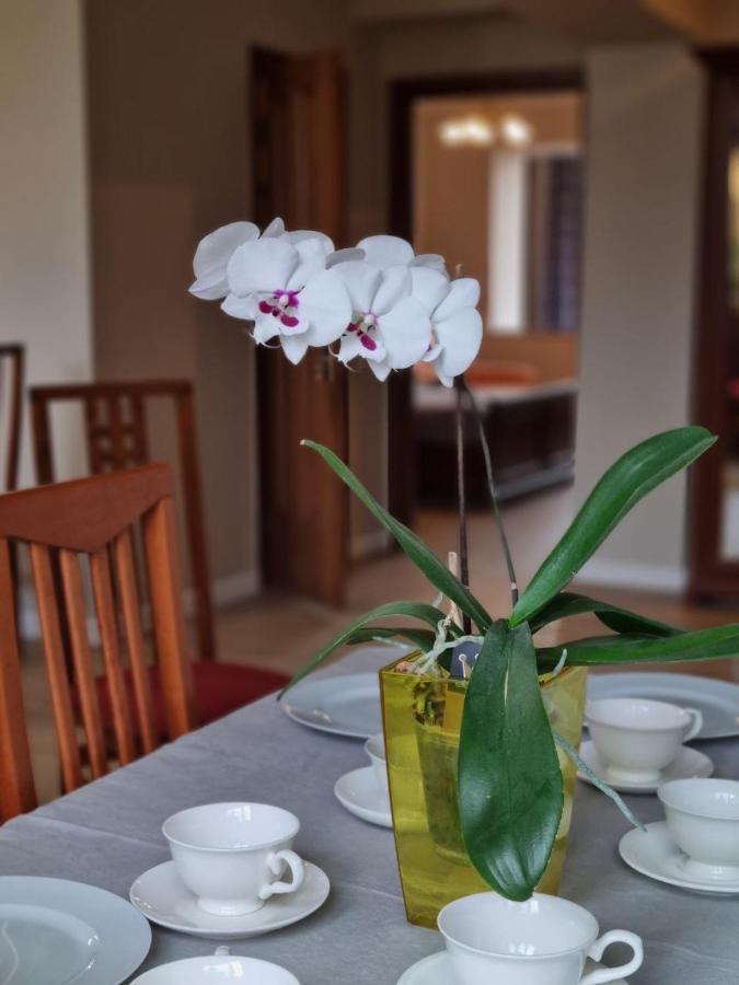 Almaty Apartment 76 Luaran gambar